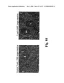 Gastrointestinal proliferative factor and uses thereof diagram and image