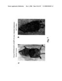 Gastrointestinal proliferative factor and uses thereof diagram and image