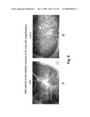 Gastrointestinal proliferative factor and uses thereof diagram and image