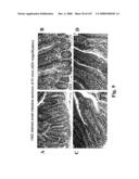 Gastrointestinal proliferative factor and uses thereof diagram and image