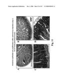 Gastrointestinal proliferative factor and uses thereof diagram and image