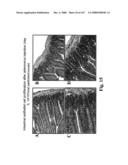 Gastrointestinal proliferative factor and uses thereof diagram and image