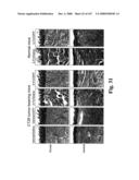 Gastrointestinal proliferative factor and uses thereof diagram and image