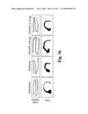 Gastrointestinal proliferative factor and uses thereof diagram and image