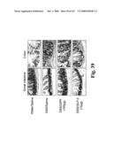 Gastrointestinal proliferative factor and uses thereof diagram and image