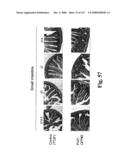 Gastrointestinal proliferative factor and uses thereof diagram and image