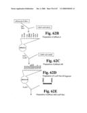 Gastrointestinal proliferative factor and uses thereof diagram and image