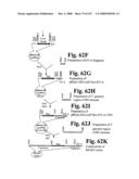 Gastrointestinal proliferative factor and uses thereof diagram and image