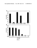 Process to produce fibrillar proteins and method of treatment using fibrillar proteins diagram and image