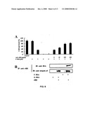 Process to produce fibrillar proteins and method of treatment using fibrillar proteins diagram and image