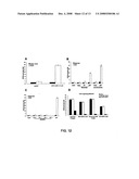 Process to produce fibrillar proteins and method of treatment using fibrillar proteins diagram and image