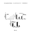 Process to produce fibrillar proteins and method of treatment using fibrillar proteins diagram and image