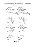 Olive Compositions and Methods for Treating Inflammatory Conditions diagram and image