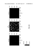 Alpha-Synuclein Antibodies and Methods Related Thereto diagram and image