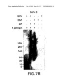 Alpha-Synuclein Antibodies and Methods Related Thereto diagram and image