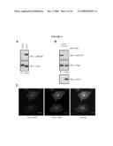 PROTEIN PRODUCTION diagram and image