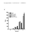 PROTEIN PRODUCTION diagram and image