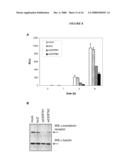 PROTEIN PRODUCTION diagram and image