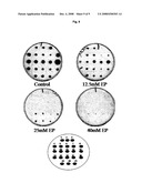 Substances and Pharmaceutical Compositions for the Inhibition of Glyoxalases and Their Use As Anti-Fungal Agents diagram and image