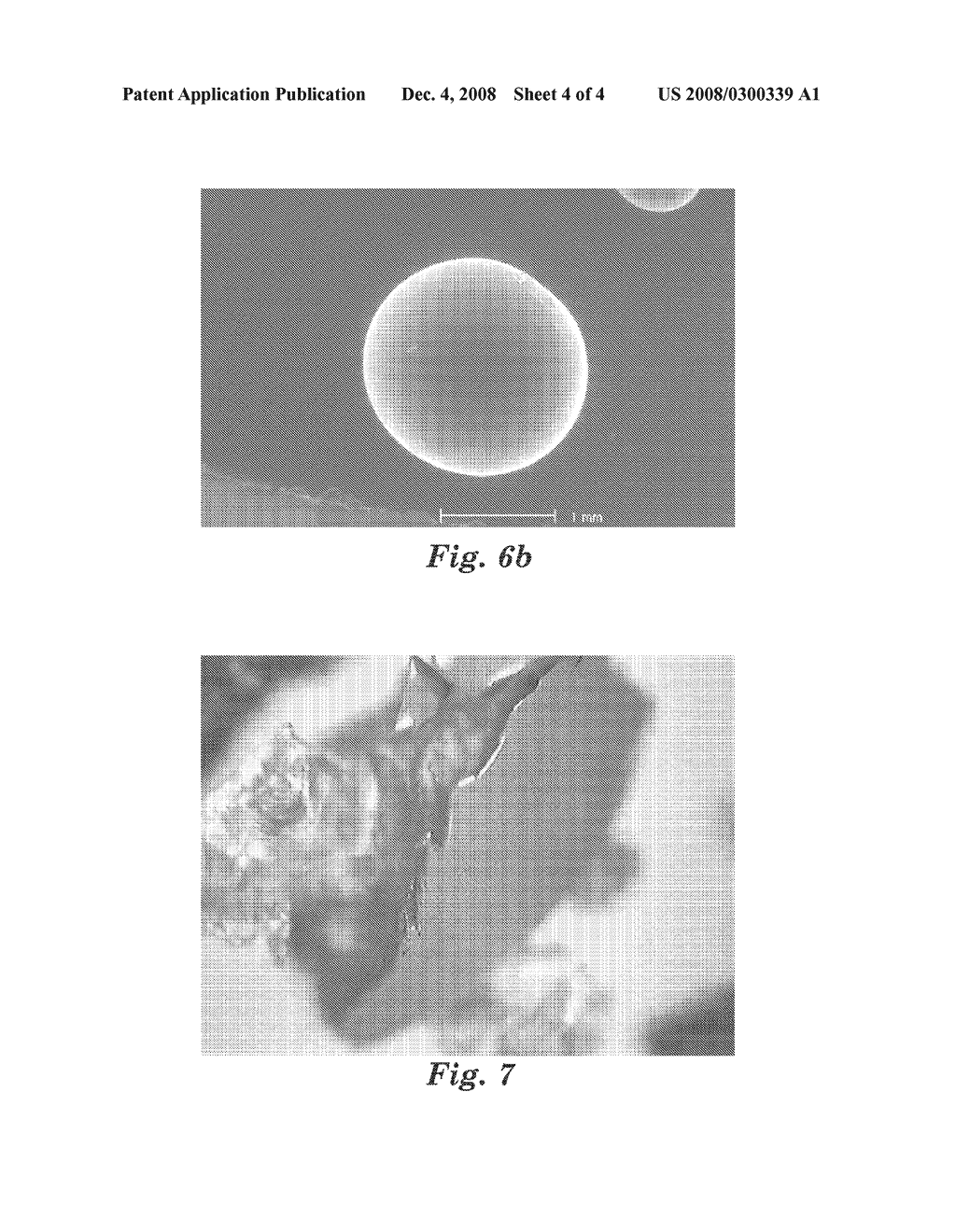 POLYMERIC BEADS AND METHODS OF MAKING POLYMERIC BEADS - diagram, schematic, and image 05