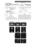 DEFECTIVE SINDBIS VIRAL VECTORS diagram and image