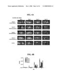 DEFECTIVE SINDBIS VIRAL VECTORS diagram and image