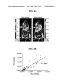 DEFECTIVE SINDBIS VIRAL VECTORS diagram and image