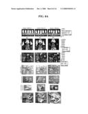 DEFECTIVE SINDBIS VIRAL VECTORS diagram and image