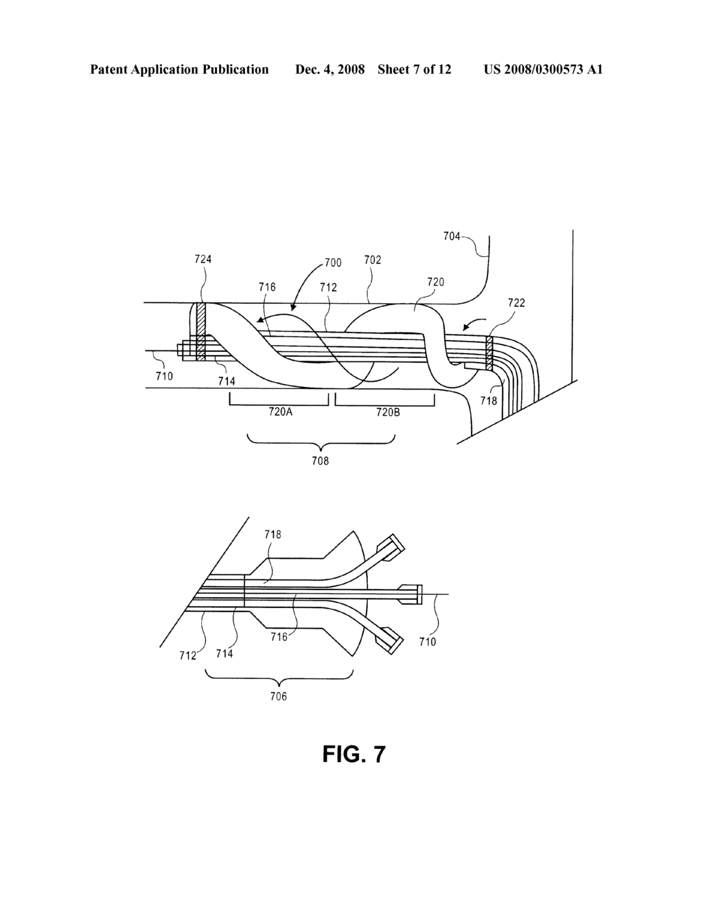 METHOD AND APPARATUS FOR DELIVERING AN AGENT TO A KIDNEY - diagram, schematic, and image 08