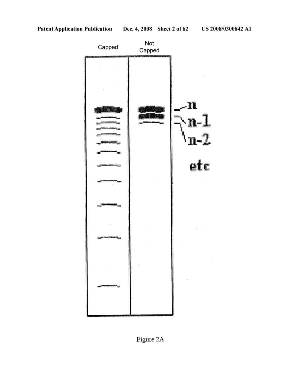 Design, Synthesis and Assembly of Synthetic Nucleic Acids - diagram, schematic, and image 03