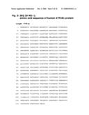 Diagnostic and Therapeutic use of a Plasma Membrane Atpase diagram and image