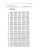 Diagnostic and Therapeutic use of a Plasma Membrane Atpase diagram and image