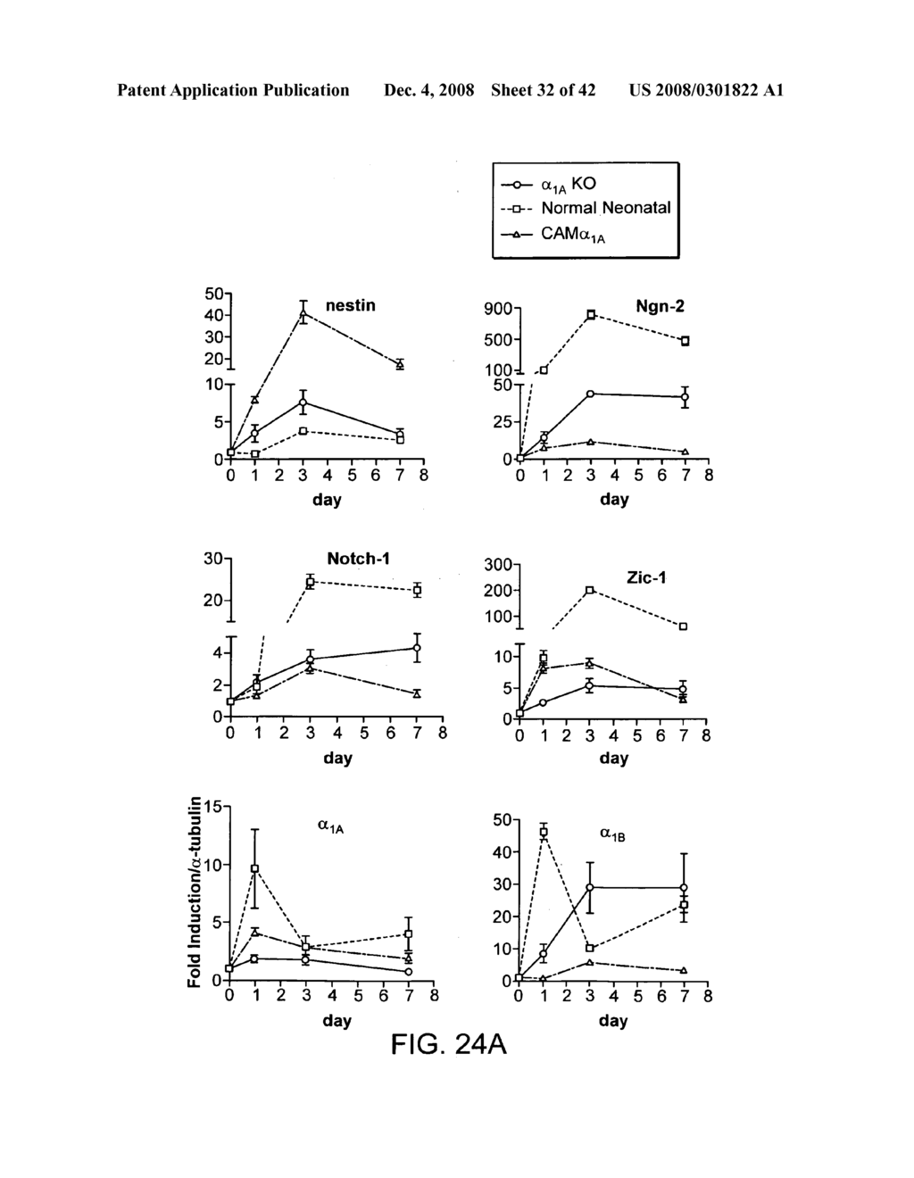 Role of alpha1-adrenergic receptors - diagram, schematic, and image 33