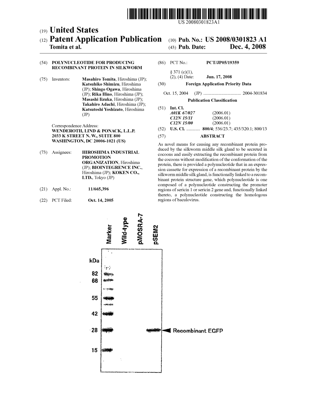 Polynucleotide for Producing Recombinant Protein in Silkworm - diagram, schematic, and image 01