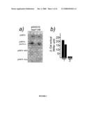 Parkin interacting polypeptides and methods of use diagram and image