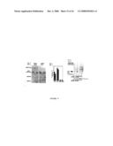 Parkin interacting polypeptides and methods of use diagram and image