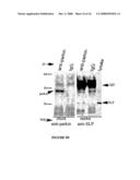 Parkin interacting polypeptides and methods of use diagram and image