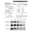 NOVEL BETA-ACTIN AND RPS21 PROMOTERS AND USES THEREOF diagram and image