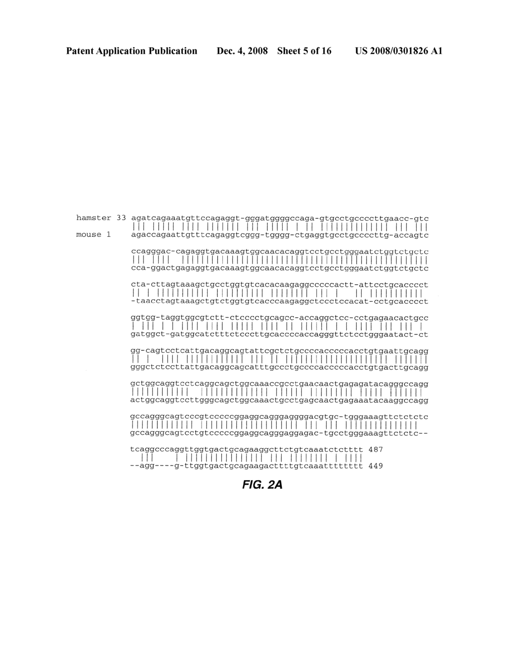 NOVEL BETA-ACTIN AND RPS21 PROMOTERS AND USES THEREOF - diagram, schematic, and image 06