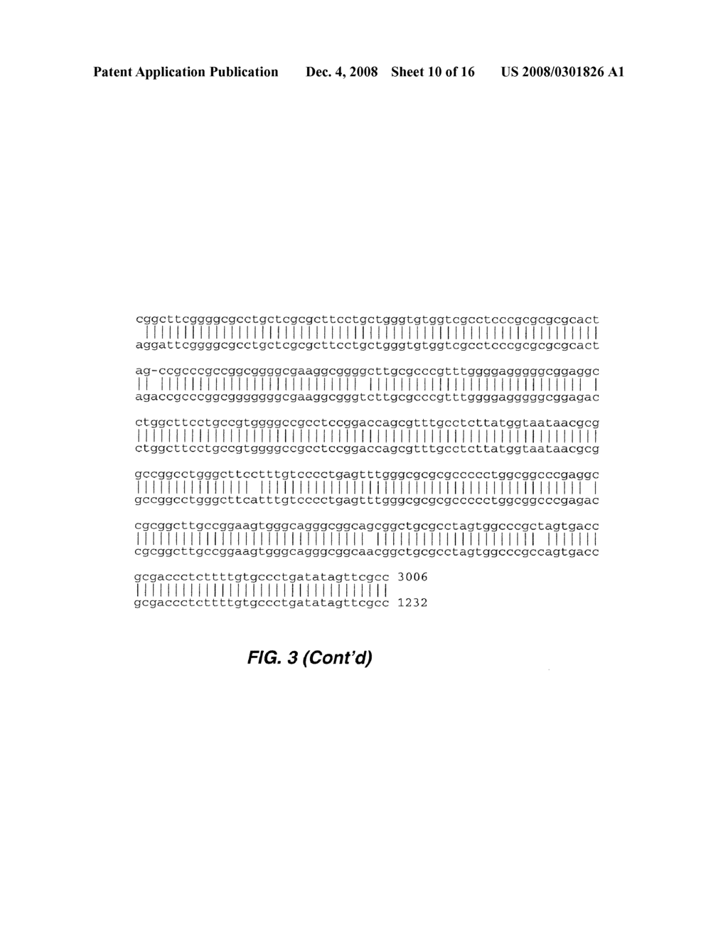 NOVEL BETA-ACTIN AND RPS21 PROMOTERS AND USES THEREOF - diagram, schematic, and image 11