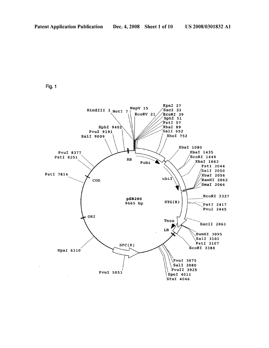 Method for Screening Genomic Dna Fragments - diagram, schematic, and image 02