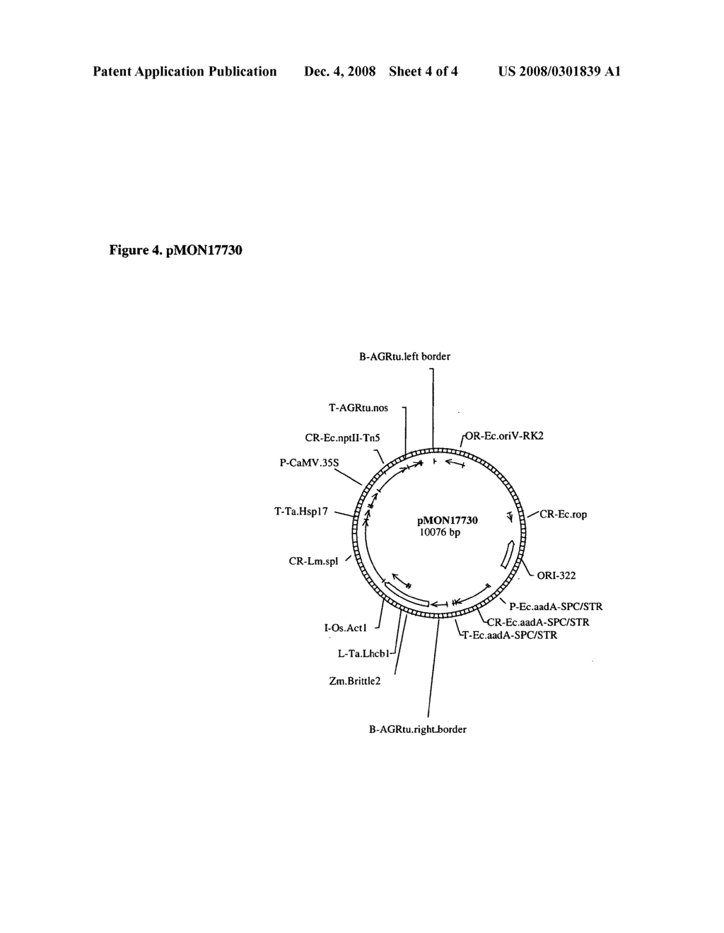 Transgenic plants with enhanced agronomic traits - diagram, schematic, and image 05