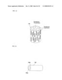 Strechable Webbing, Inflatable Belt, and Inflatable Belt Apparatus diagram and image