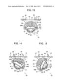 SHOWCASE diagram and image