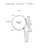 Engineered Antibodies and Immunoconjugates diagram and image