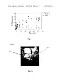 Mri Contrast Agents for Diagnosis and Prognosis of Tumors diagram and image