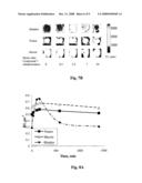 Mri Contrast Agents for Diagnosis and Prognosis of Tumors diagram and image