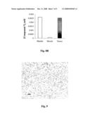 Mri Contrast Agents for Diagnosis and Prognosis of Tumors diagram and image