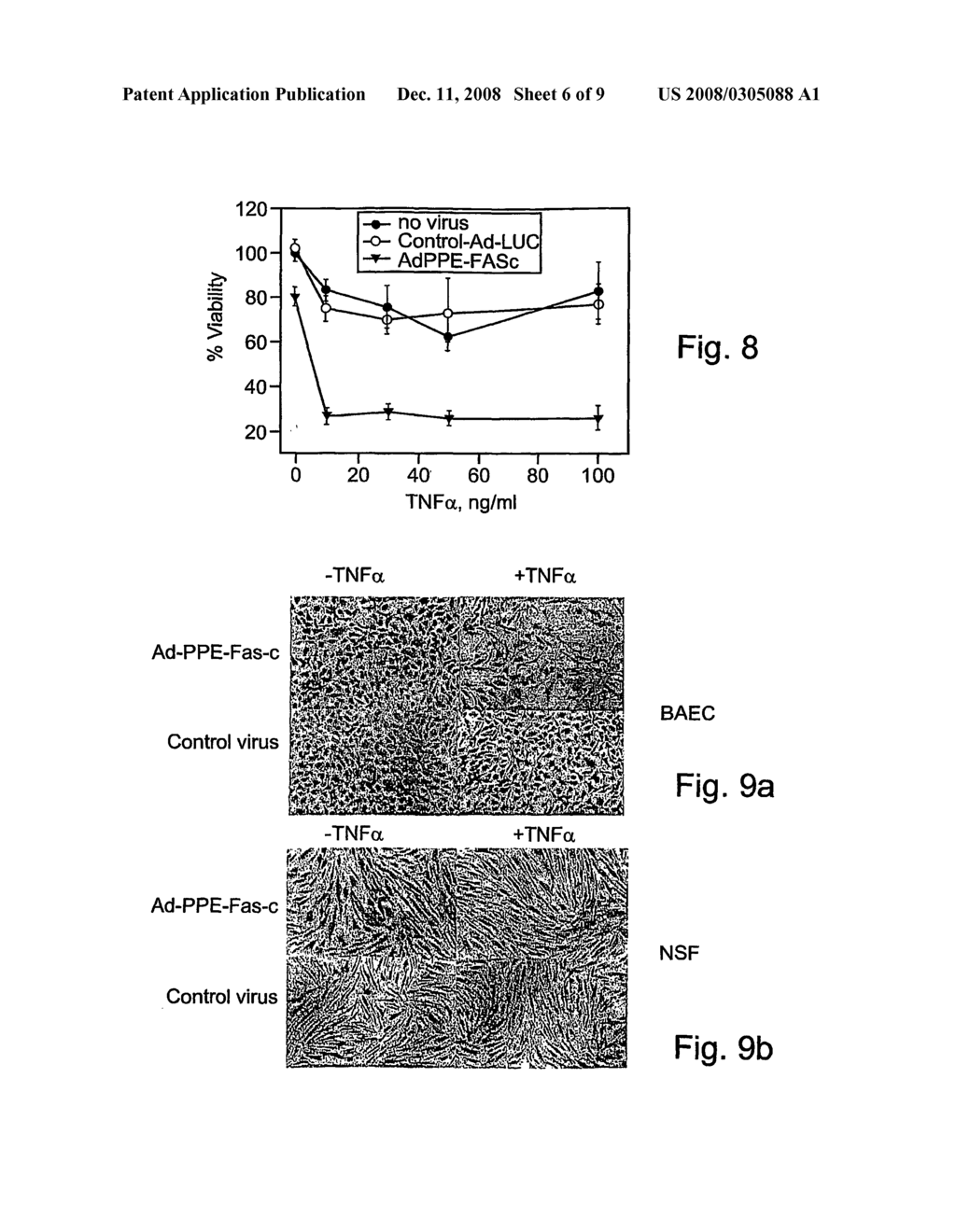 Polynucleotide constructs, pharmaceutical compositions and methods for targeted downregulation of angiogenesis and anticancer therapy - diagram, schematic, and image 07