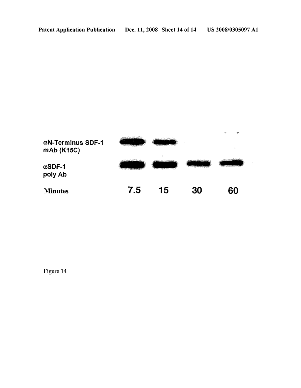 Use of Protease or a Protease Inhibitor for the Manufacture of Medicaments - diagram, schematic, and image 15